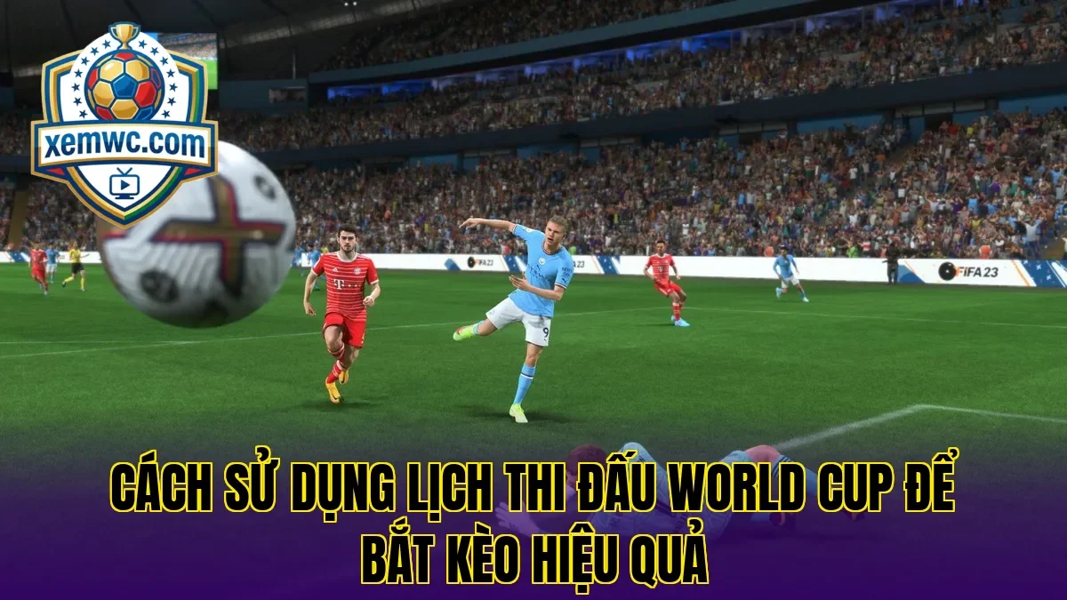 Cách sử dụng lịch thi đấu world cup để bắt kèo hiệu quả
