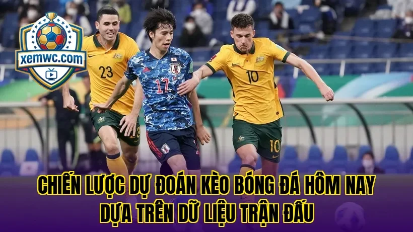 Chiến lược dự đoán kèo bóng đá hôm nay dựa trên dữ liệu trận đấu