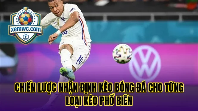 Chiến lược nhận định kèo bóng đá cho từng loại kèo phổ biến