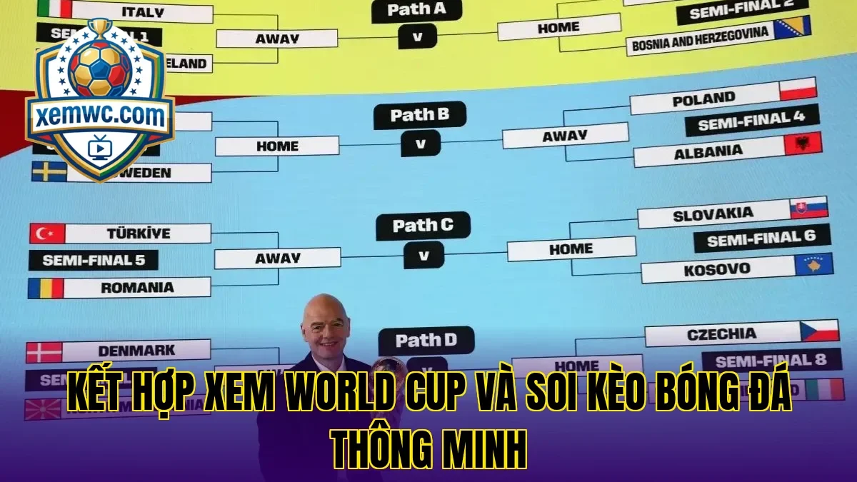 Kết hợp xem world cup và soi kèo bóng đá thông minh