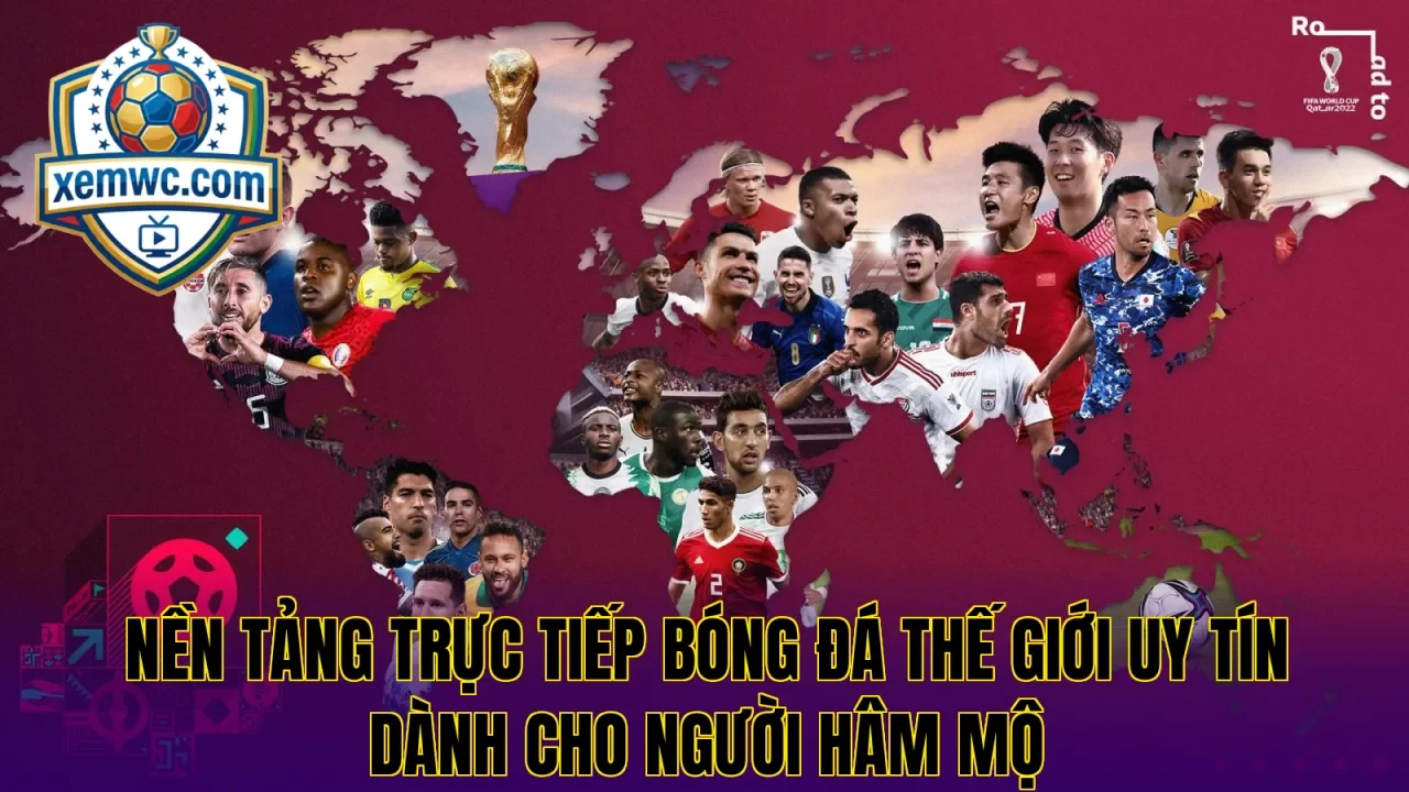 Nền tảng trực tiếp bóng đá thế giới uy tín dành cho người hâm mộ