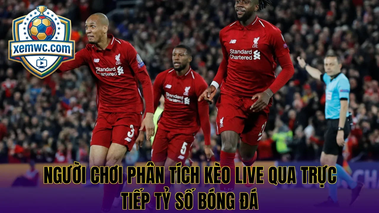 Người chơi phân tích kèo live qua trực tiếp tỷ số bóng đá