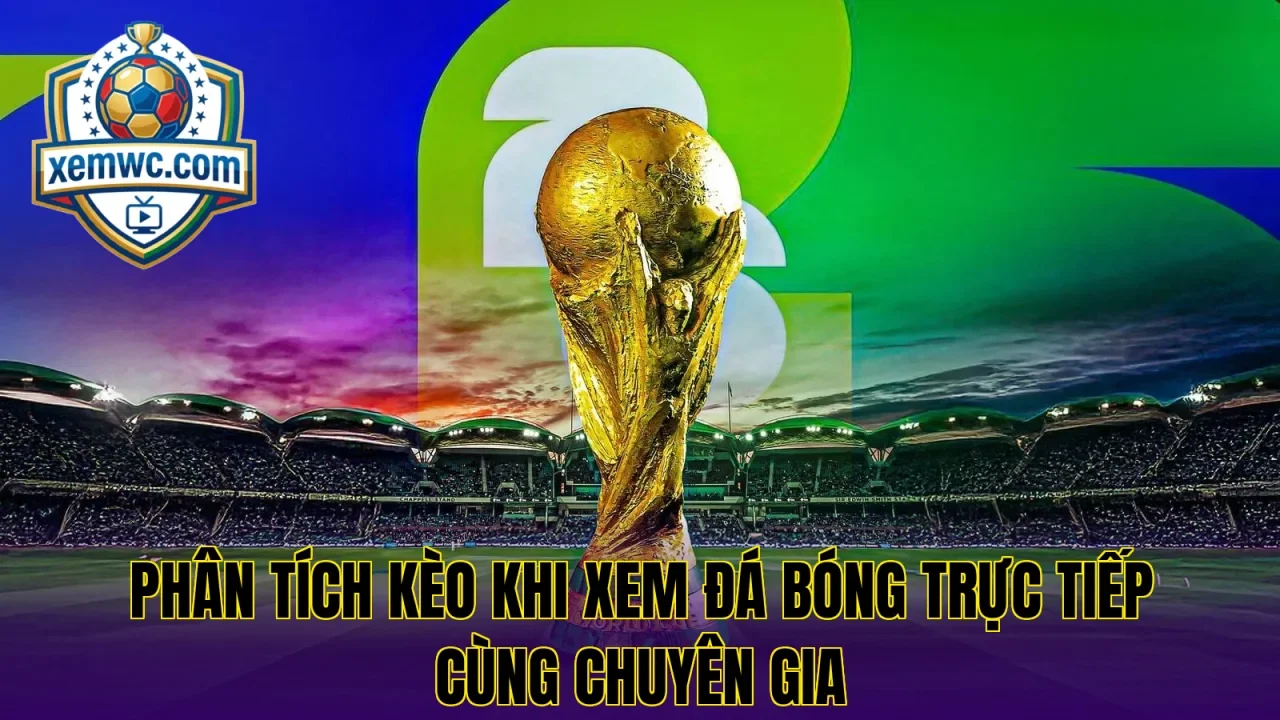 Phân tích kèo khi xem đá bóng trực tiếp cùng chuyên gia