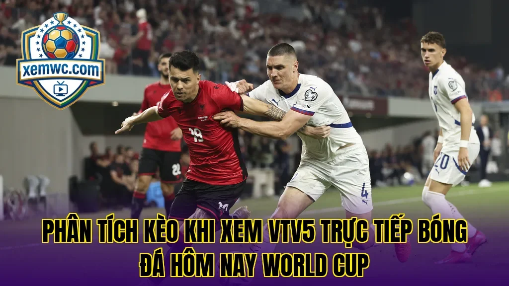 Phân tích kèo khi xem vtv5 trực tiếp bóng đá hôm nay world cup