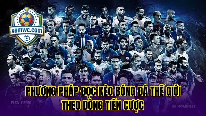 Phương pháp đọc kèo bóng đá thế giới theo dòng tiền cược