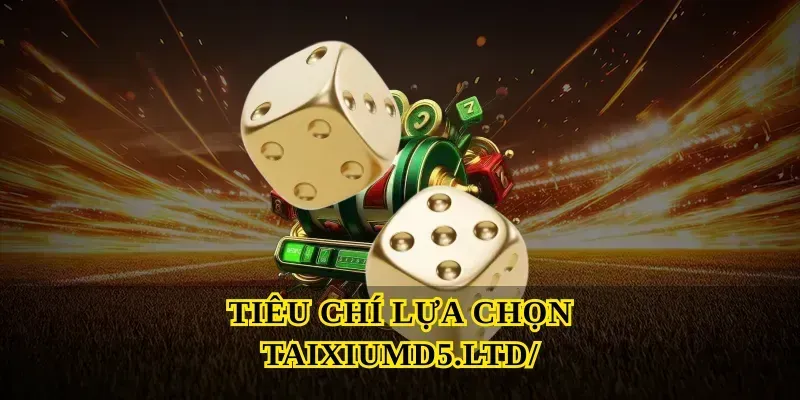 Tiêu chí lựa chọn Taixiumd5.ltd/
